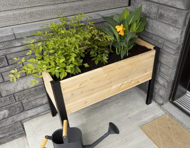 KORTO STRUCTURE - CAPSULES VIDÉOS