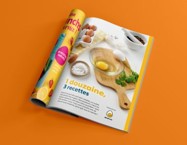 FÉDÉRATION DES PRODUCTEURS D'OEUFS DU QUÉBEC - STRATÉGIE DE CONTENU