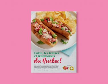 L'ASSOCIATION DES PRODUCTEURS DE FRAISES ET FRAMBOISES DU QUÉBEC - DOSSIER PERSONNALISÉ